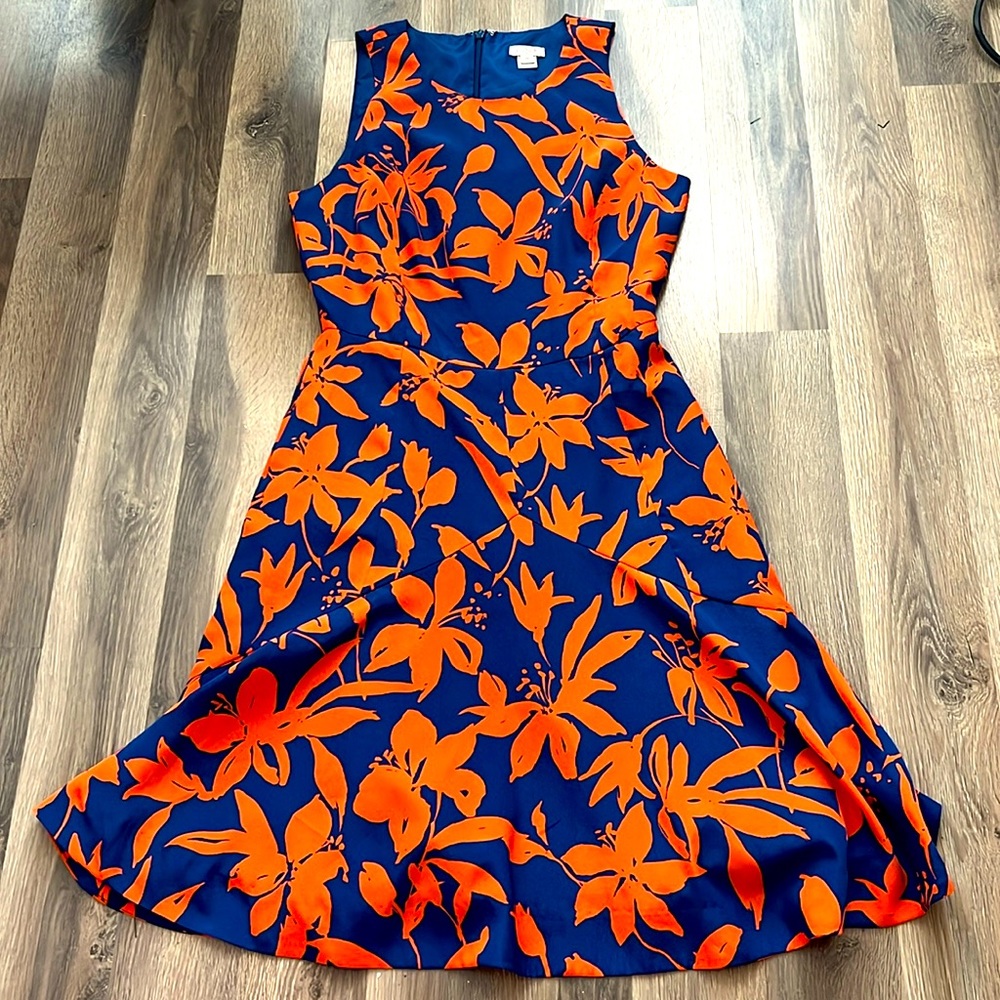 J crew Lily dress